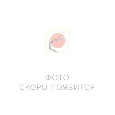 Туалетное мыло, 430311 KAO White Aromatic Rose Кусковое крем-мыло со скваланом, с ароматом белых роз, в коробке 6шт. Х 85г. 1/20