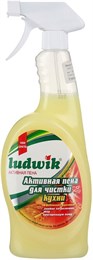 000856 Ludwik Активная пена для чистки кухни 750 мл 000856